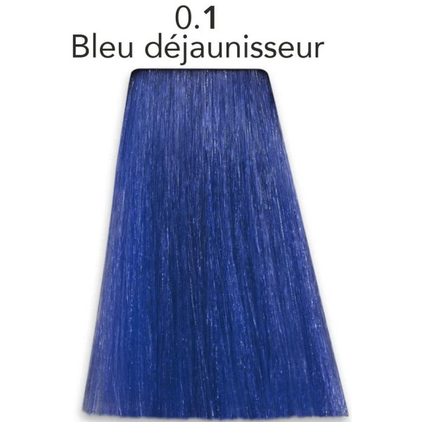 Coloration Color One 0.1 Chromatique Bleu Patrice Mulato 100ML 5 Coloration Color One 0.1 Chromatique Bleu Patrice Mulato 100ML - Image 3