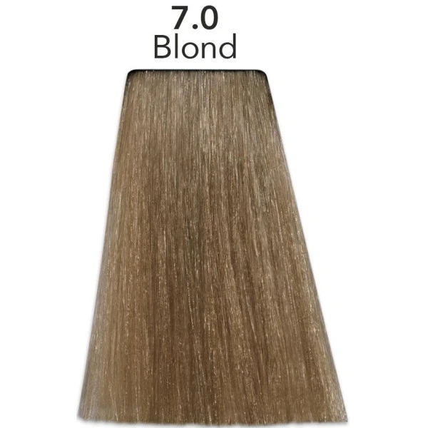Coloration Color One 7.0 Blond Patrice Mulato 300ML 4 Coloration Color One 7.0 Blond Patrice Mulato 300ML - Image 2
