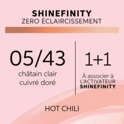 Coloration Gloss Shinefinity 05/43 Hot Chili Wella 60ML 11 Coloration Gloss Shinefinity 05/43 Hot Chili Wella 60ML -Beauty Care Soldes coloration gloss shinefinity 0543 hot chili wella 60ml 1