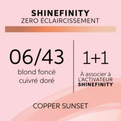 Coloration Gloss Shinefinity 06/43 Copper Sunset Wella 60ML -Beauty Care Soldes coloration gloss shinefinity 0643 copper sunset wella 60ml 1