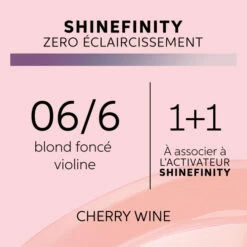 Coloration Gloss Shinefinity 06/6 Cherry Wine Wella 60ML -Beauty Care Soldes coloration gloss shinefinity 066 cherry wine wella 60ml 1