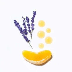 Concentré Pré-shampooing Stimulant Complexe 5 René Furterer 16x5,5ML 6 Concentré Pré-shampooing Stimulant Complexe 5 René Furterer 16x5,5ML -Beauty Care Soldes concentre pre shampooing stimulant complexe 5 rene furterer 16x55ml 1