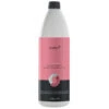 Conditionneur Raviveur De Colour Sibel 1L -Beauty Care Soldes conditionneur raviveur de colour sibel 1l