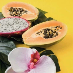 Conditionneur Restaurateur Back-bar Farmavita 250ML -Beauty Care Soldes conditionneur restaurateur back bar farmavita 250ml 2