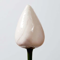 Huile Nourrissante Sailor Moon Essence Absolue Shu Uemura 150ML 10 Huile Nourrissante Sailor Moon Essence Absolue Shu Uemura 150ML -Beauty Care Soldes huile essence absolue shu uemura 150ml 3