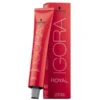 Schwarzkopf Igora Royal Mix 0.88 Teinte à Nuancer Rouge 60 Ml -Beauty Care Soldes igora royal mix 088 teinte a nuancer rouge 60 ml