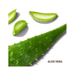 Lotion Réconfortante Aloe Vera Salp Care MIZANI 118ML -Beauty Care Soldes lotion reconfortante aloe vera salp care mizani 118ml 2