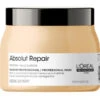 Masque Absolut Repair L'Oréal Professionnel 500ML -Beauty Care Soldes masque absolut repair l oreal professionnel 500ml