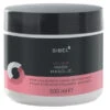 Masque Colour Sibel 500ML 2 Masque Colour Sibel 500ML -Beauty Care Soldes masque colour sibel 500ml