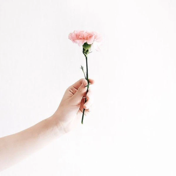 Masque Couleur Flow Air Patrice Mulato 200ML 4 Masque Couleur Flow Air Patrice Mulato 200ML - Image 2