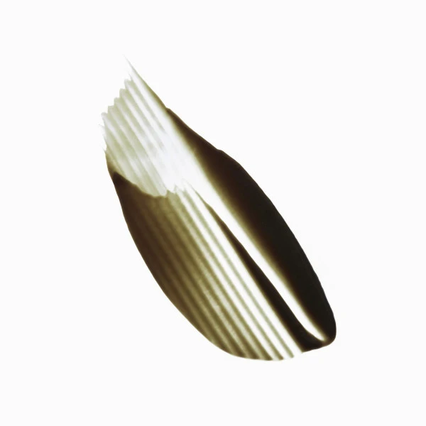 Masque Vert Neutralisant Chroma Absolu Kérastase 150ML 4 Masque Vert Neutralisant Chroma Absolu Kérastase 150ML - Image 2