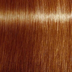 Mousse Colorante Coiffante Noisette Indola 200ML -Beauty Care Soldes mousse colorante coiffante noisette indola 200ml 1