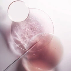 Recharge Bain Riche Cheveux Normaux à épais Chroma Absolu Kérastase 500ML -Beauty Care Soldes recharge bain riche cheveux normaux a epais chroma absolu kerastase 500ml 6