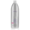 Shampooing Cheveux Colorés Color Amethyste Farmavita 1L 2 Shampooing Cheveux Colorés Color Amethyste Farmavita 1L -Beauty Care Soldes shampooing cheveux colores color amethyste farmavita 1l