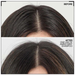 Shampooing Cheveux Gras & Pointes Sèches Amino Mint Redken 300ML -Beauty Care Soldes shampooing cheveux gras pointes seches amino mint redken 300ml 2