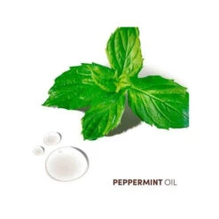 Shampooing Cuir Chevelu Sensible Scalp Care MIZANI 500ML -Beauty Care Soldes shampooing cuir chevelu sensible scalp care mizani 500ml 4