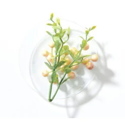 Shampooing Léger BlondMe Schwarzkopf 1L 7 Shampooing Léger BlondMe Schwarzkopf 1L -Beauty Care Soldes shampooing leger blondme schwarzkopf 1l 1