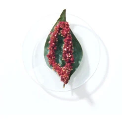 Shampooing Neutralisant BlondMe Schwarzkopf 1L -Beauty Care Soldes shampooing neutralisant blondme schwarzkopf 1l 1