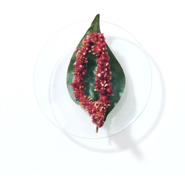 Shampooing Neutralisant BlondMe Schwarzkopf 300ML 4 Shampooing Neutralisant BlondMe Schwarzkopf 300ML - Image 2