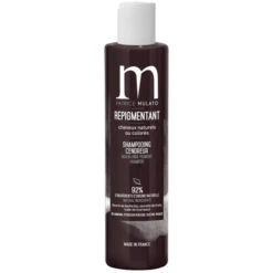 Shampooing Neutralisant Cendreur Patrice Mulato 200ML