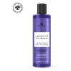 Shampooing Pigmenté Reflet Déjaunisseur Lavande De Valensole Fauvert Professionnel 250ML -Beauty Care Soldes shampooing pigmente reflet dejaunisseur lavande de valensole fauvert professionnel 250ml