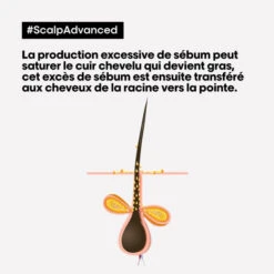 Shampooing Purifiant Cheveux Gras Scalp Advanced L'Oréal Professionnel 300ML -Beauty Care Soldes shampooing purifiant cheveux gras scalp advanced l oreal professionnel 300ml 5