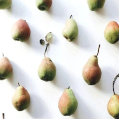 Shampooing Revitalisant Back-bar Farmavita 1L -Beauty Care Soldes shampooing revitalisant back bar farmavita 1l 2