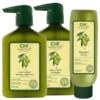 Trio Shampooing + Conditionneur + Masque Naturals CHI -Beauty Care Soldes trio shampooing conditionneur masque naturals chi